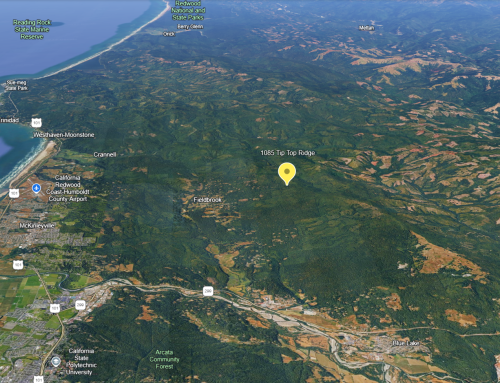 Redwood Real Estate Report November 2025